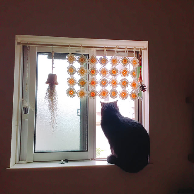 zeno さんの作品/黒猫/猫/バス/トイレのインテリア実例 - 2019-05-31 20:32:26