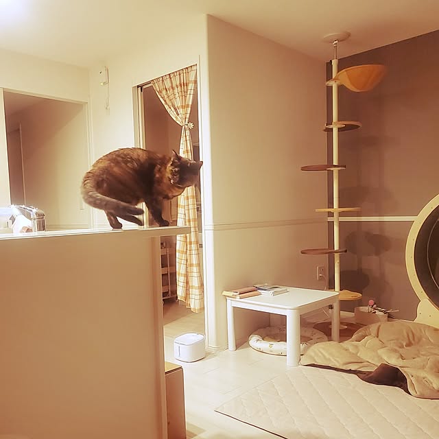 JIHYEさんの実例写真