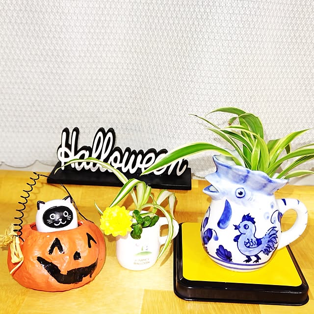 katさんの実例写真