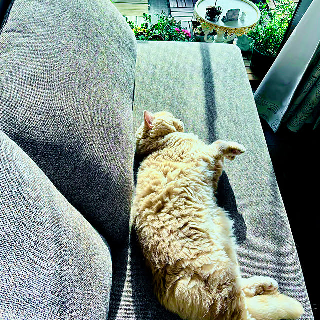 naokoさんの部屋