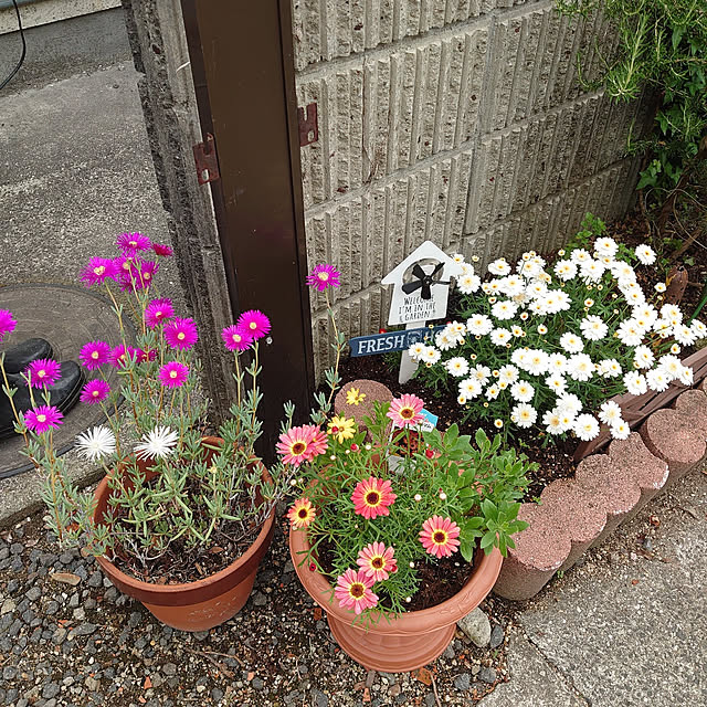 fukuさんの実例写真