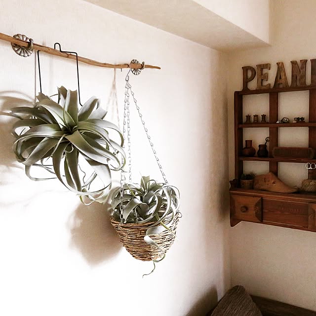 PeanutVillageさんの実例写真