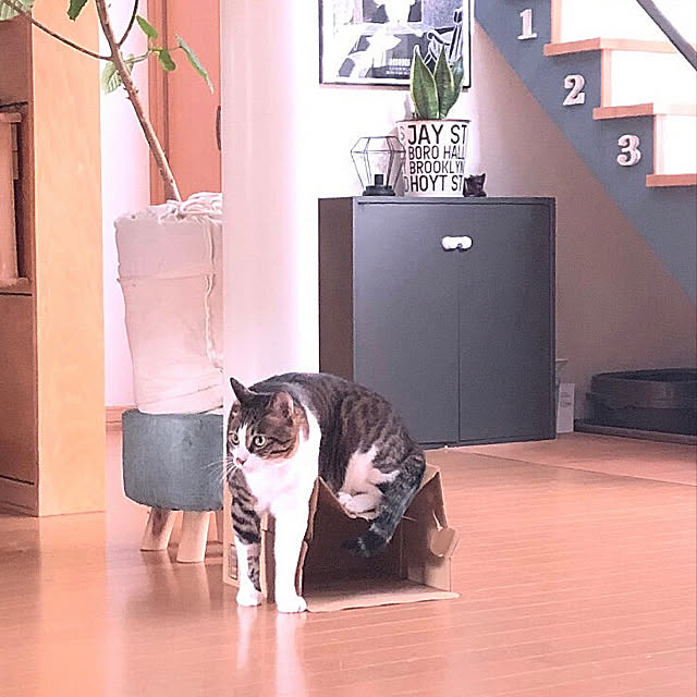 hanahanaさんの実例写真