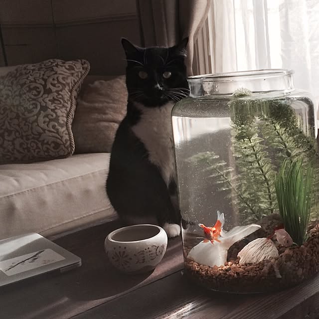 GeorgiaOlinさんの実例写真