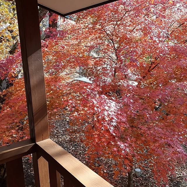 lovehome438さんの実例写真