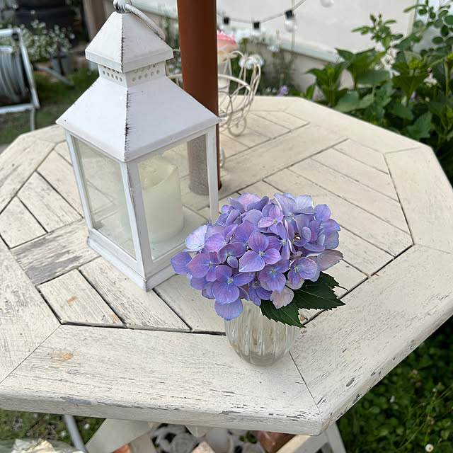 sakuraさんの部屋