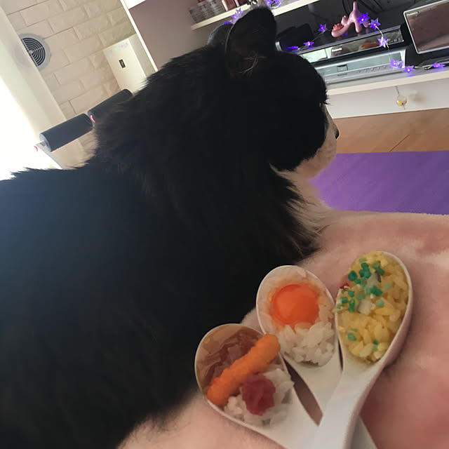 kanaさんの実例写真