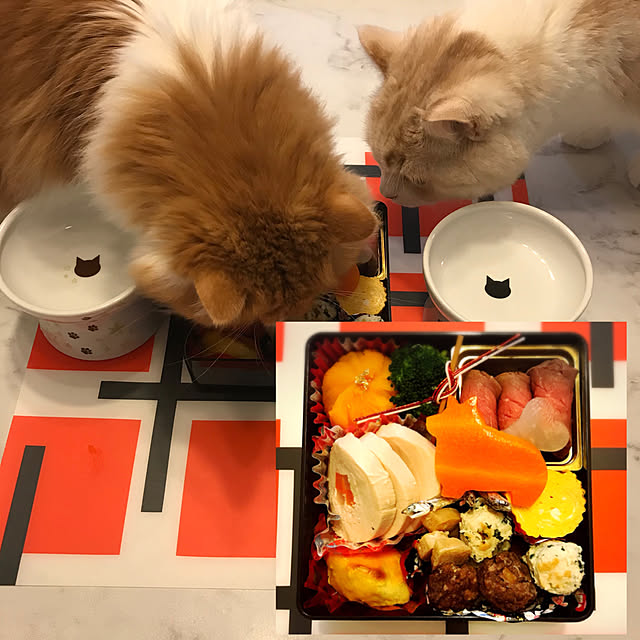 H.Tさんの実例写真