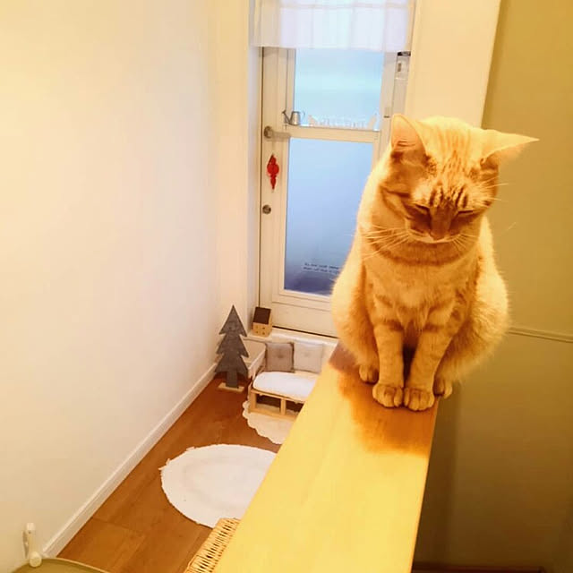 mayutan.さんの実例写真