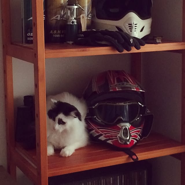 Yayoiさんの実例写真