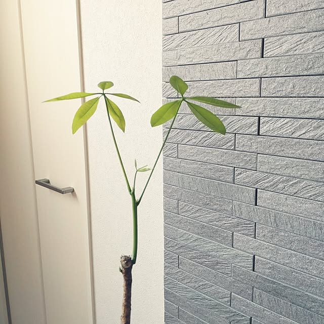 tan5さんの部屋