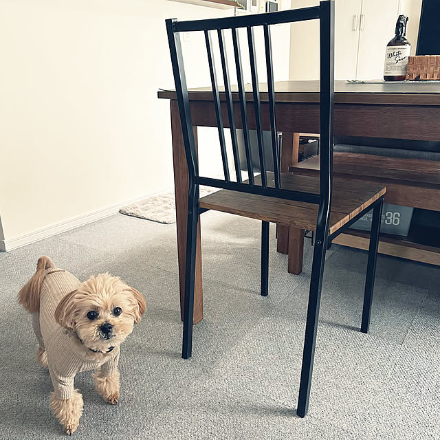 ikt.tamaさんの部屋