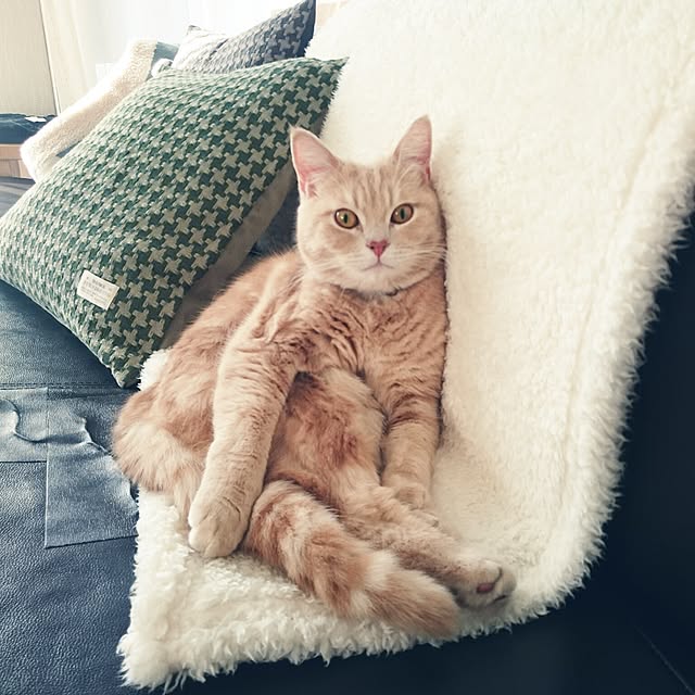 yukiさんの実例写真