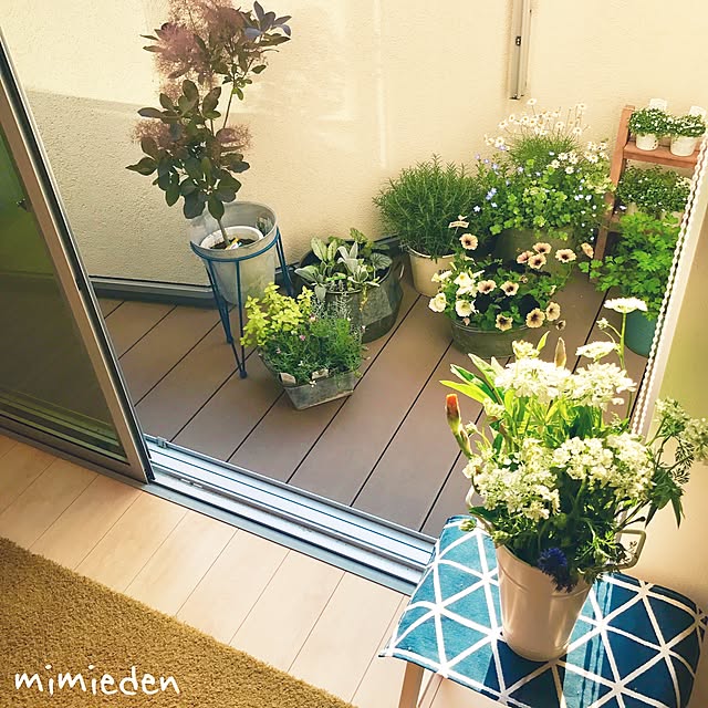 mimiedenさんの実例写真