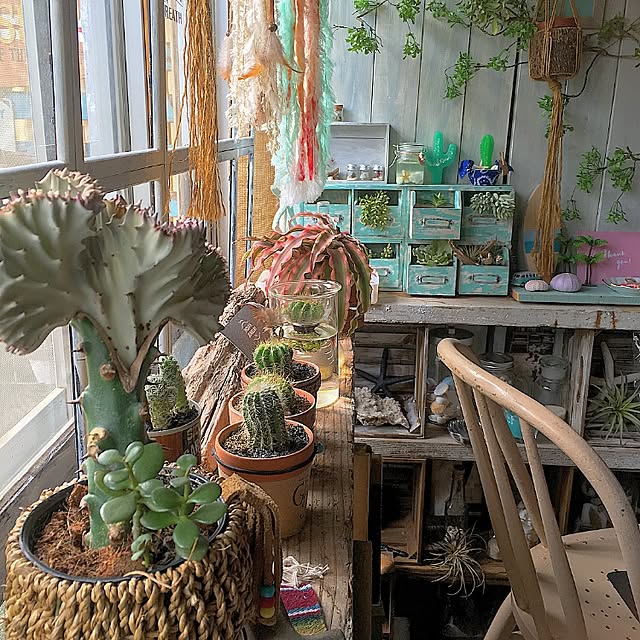 edenさんの実例写真