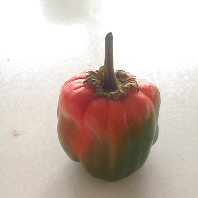 myunさんの実例写真
