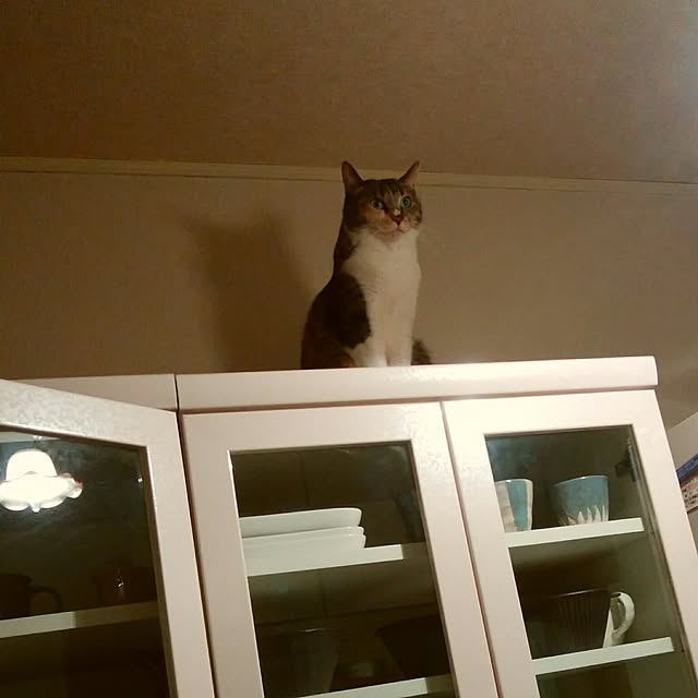tomo1220さんの実例写真