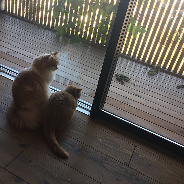 maruさんの実例写真