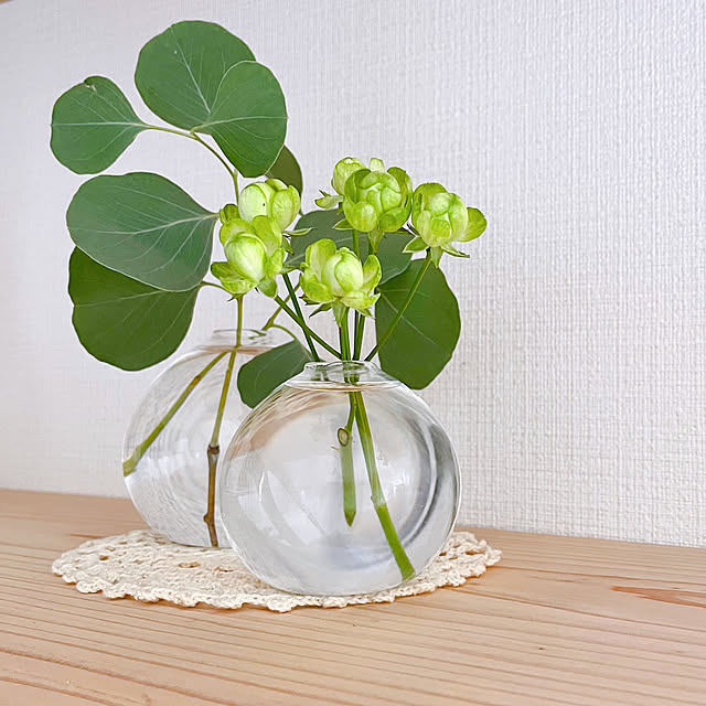 cocoaさんの実例写真