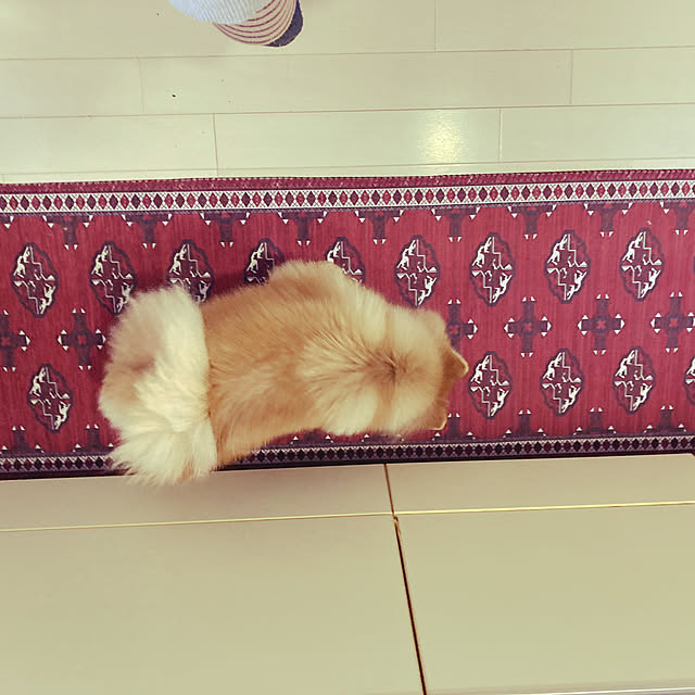 daifukumotiさんの実例写真