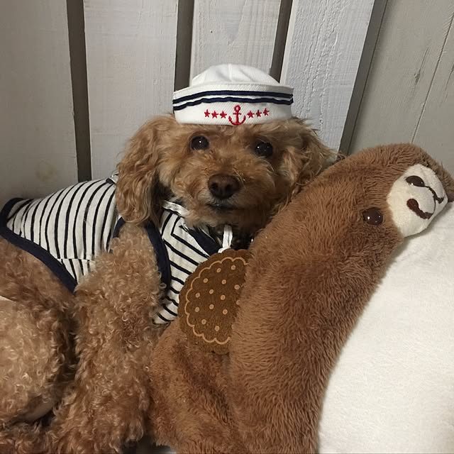 RURULOVEさんの実例写真