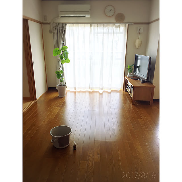 minnさんの実例写真