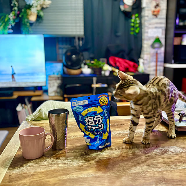 tututu0204さんの実例写真