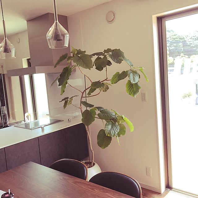 studio-olimpicoさんの実例写真