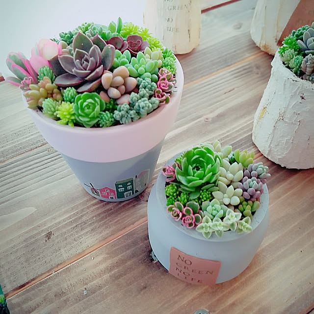 Michieさんの実例写真