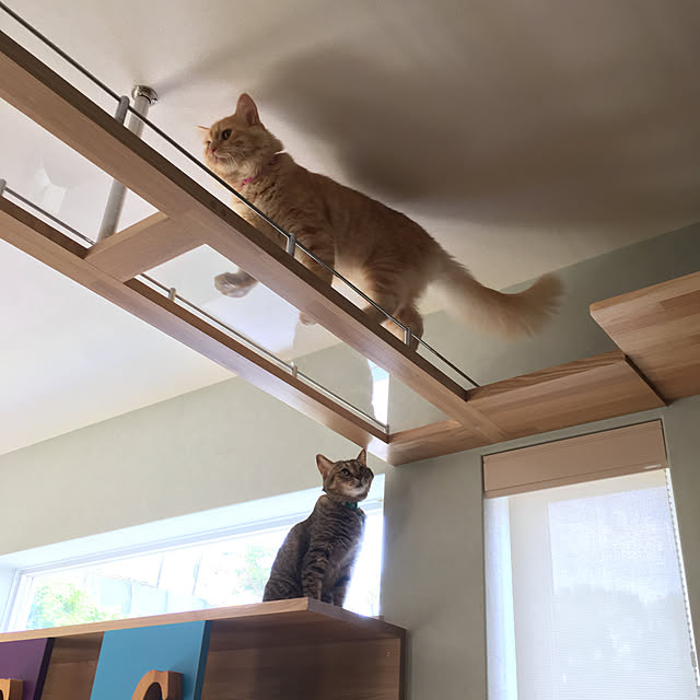 nyancohomeさんの実例写真