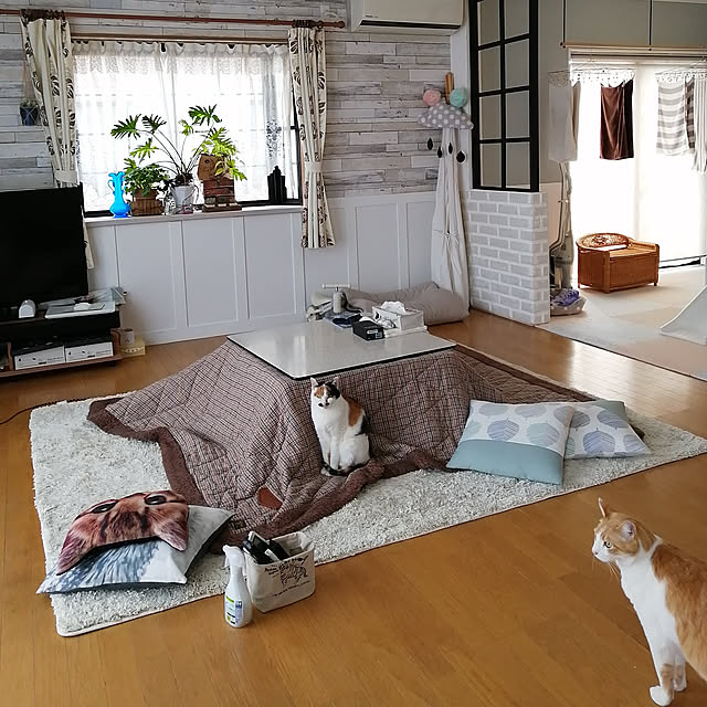 Kinanさんの実例写真