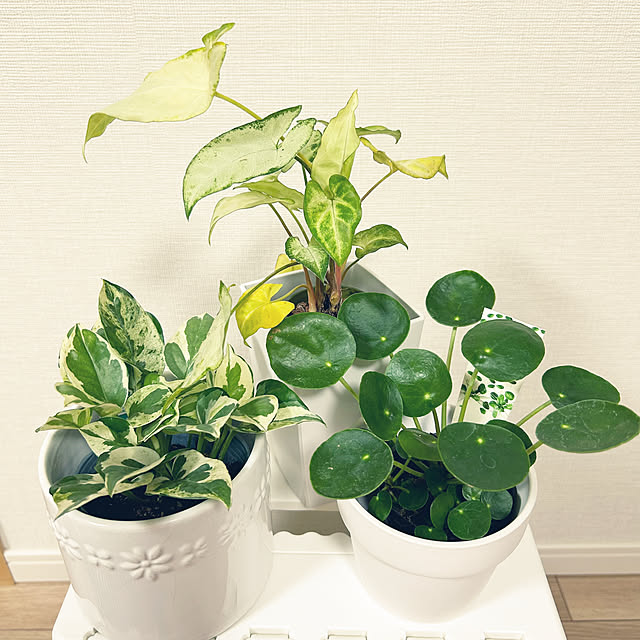 yoyoyoさんの部屋