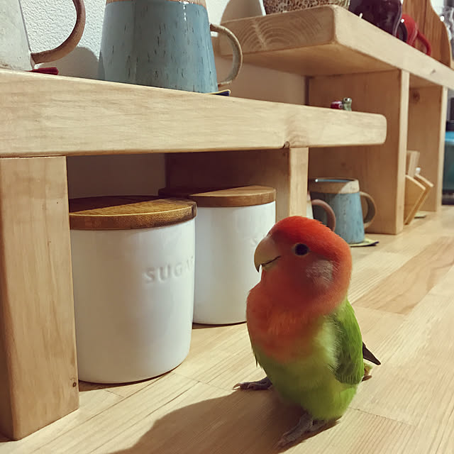 stratomanさんの実例写真