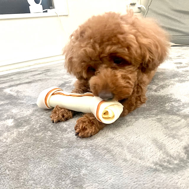 MOMOMAMAさんの部屋