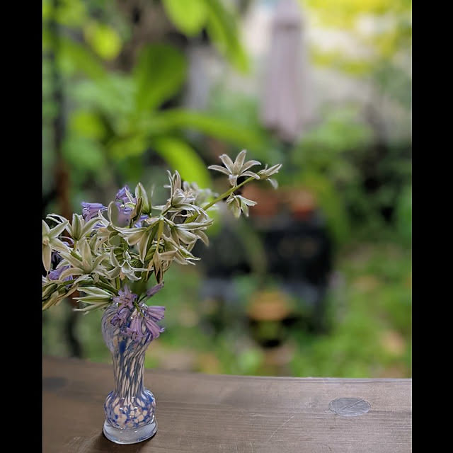aromameさんの実例写真