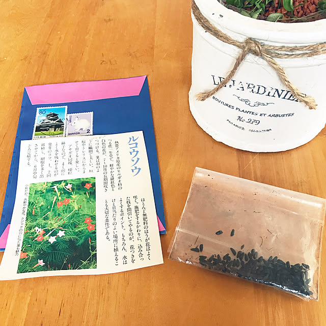 oyoさんの実例写真