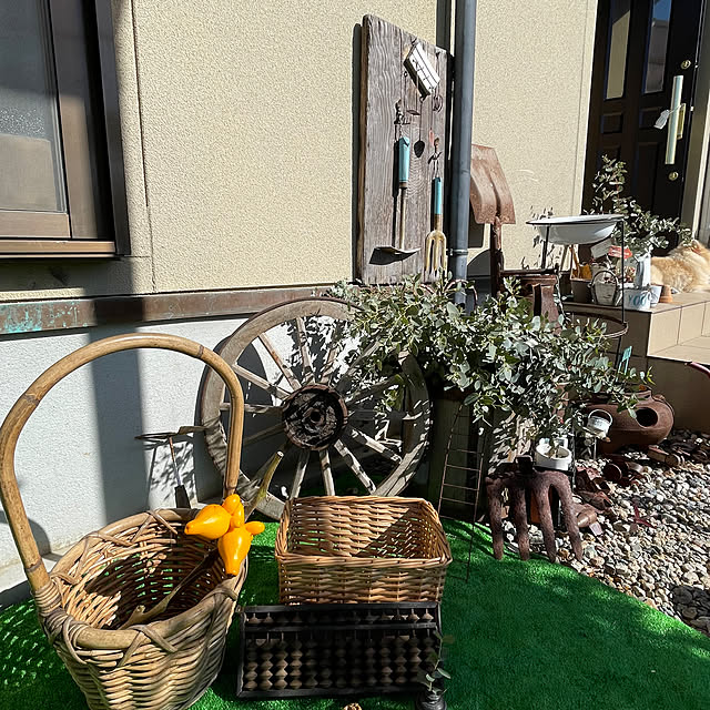 satochanさんの部屋