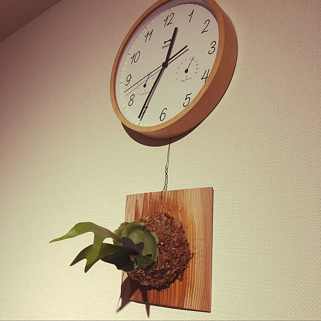 kaya23さんの実例写真