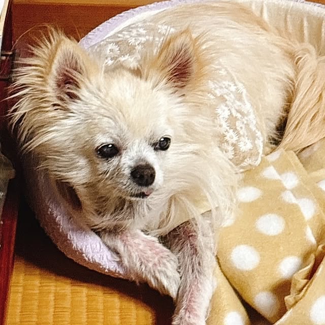 minnieさんの部屋