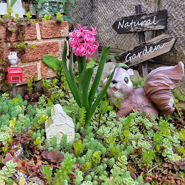 25Moondropsさんの部屋