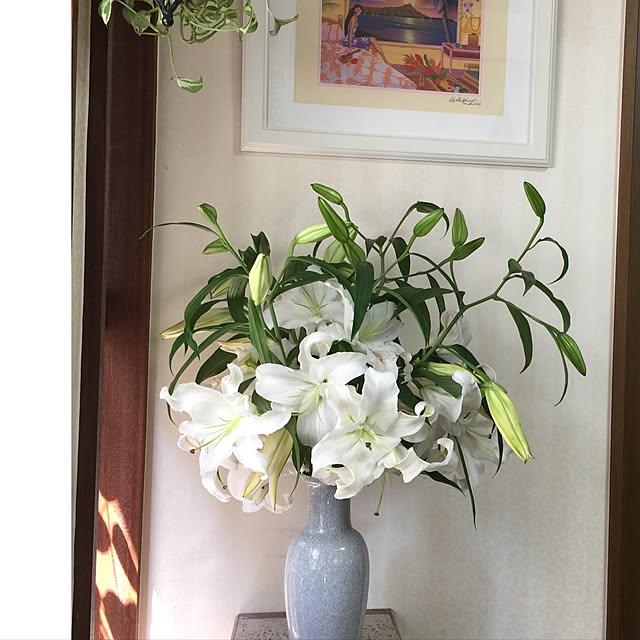 momonaさんの実例写真