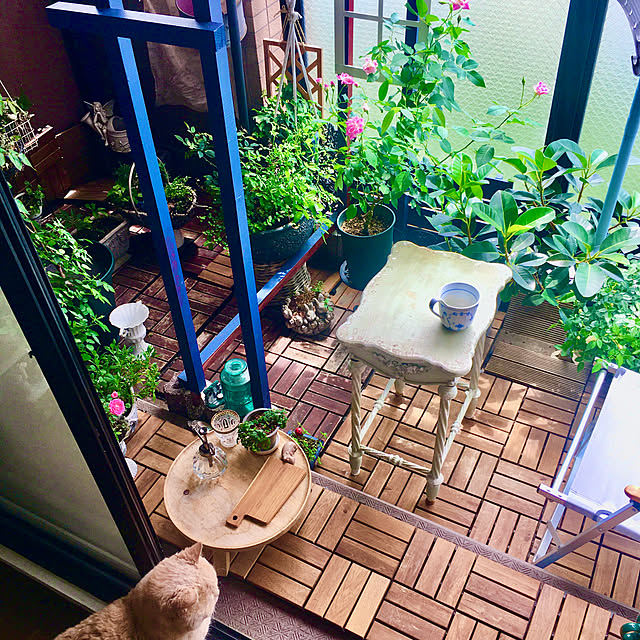 naokoさんの実例写真