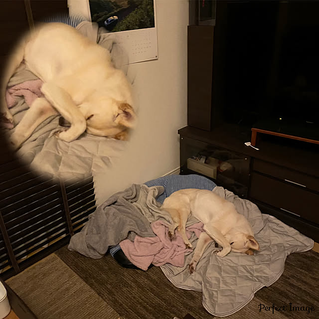 tanboさんの実例写真
