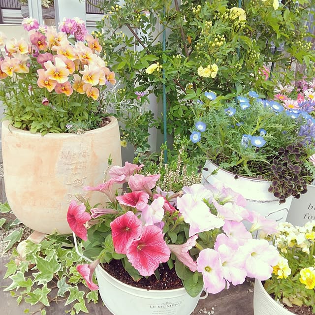 mii-sanさんの部屋