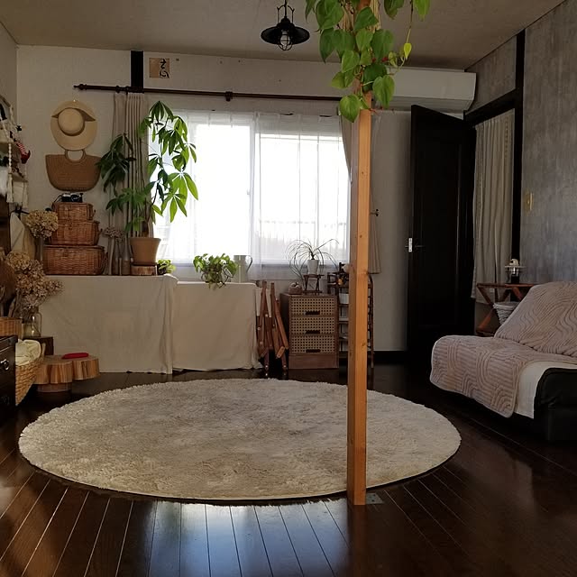 midoriさんの部屋
