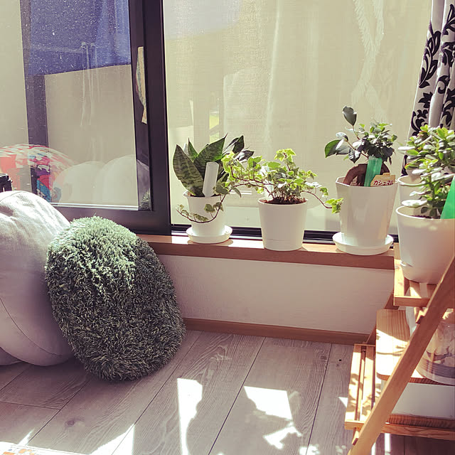 makiさんの実例写真