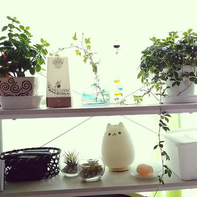 rieさんの実例写真