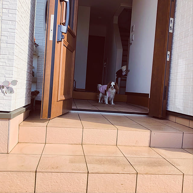 canmilmamaさんの実例写真