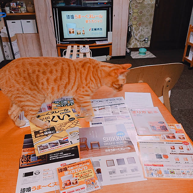 kikiさんの実例写真