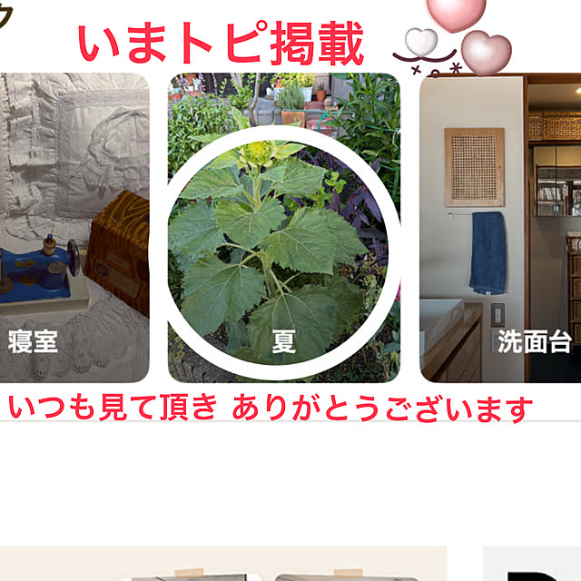 ritsukoさんの実例写真